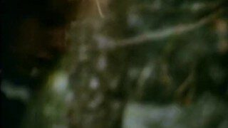 Forest Threeway from Classic Porn JUST BLONDS (1979)
