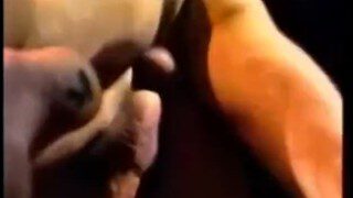 Frat Pack – Scene 3
